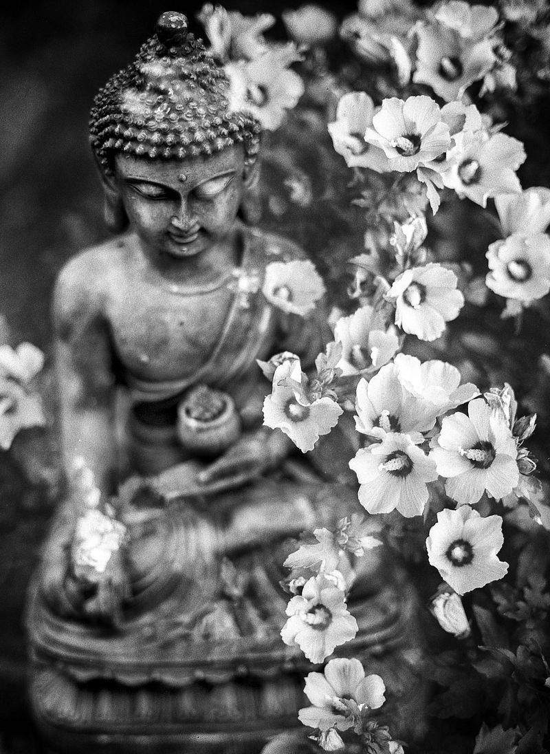 Yoga Serenità - Image 10