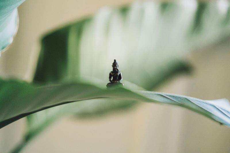 Yoga per principianti